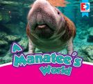 A Manatee's World