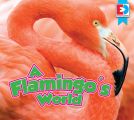 A Flamingo's World