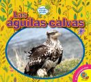 Las aguilas calvas