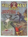 Young Wild West Saved by a Signal