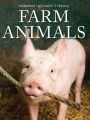 Farm Animals