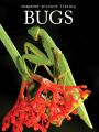 Bugs