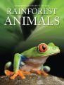 Rainforest Animals
