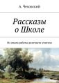 Рассказы о Школе. Из опыта работы дилетанта-учителя