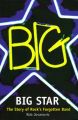 Big Star: The Story of Rocks Forgotten Band