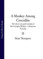 A Monkey Among Crocodiles: The Life, Loves and Lawsuits of Mrs Georgina Weldon  a disastrous Victorian [Text only]