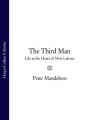 The Third Man: Life at the Heart of New Labour