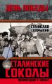 Сталинские соколы. Возмездие с небес Сталинские соколы. Возмездие с небес