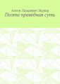 Поэта праведная суть