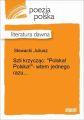 Szli krzyczac: 