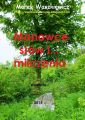 Manowce slow i... milczenia
