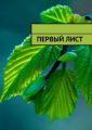 Первый лист