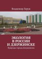 Экология в России и Дзержинске. Природа города Дзержинска