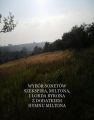 Wybor sonetow poetow angielskich