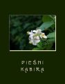 Piesni Kabira