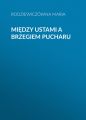 Miedzy ustami a brzegiem pucharu