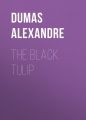 The Black Tulip