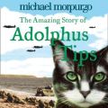 Amazing Story Of Adolphus Tips