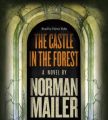 Castle in the Forest