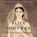 Marriage of Opposites