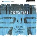 Lying Year