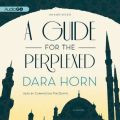 Guide for the Perplexed
