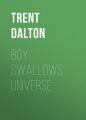 Boy Swallows Universe