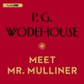 Meet Mr. Mulliner