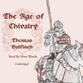 Age of Chivalry