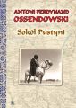 Sokol Pustyni