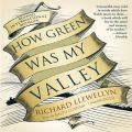 How Green Was My Valley