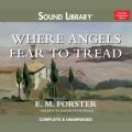 Where Angels Fear to Tread