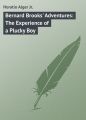 Bernard Brooks' Adventures: The Experience of a Plucky Boy