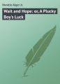 Wait and Hope: or, A Plucky Boy's Luck