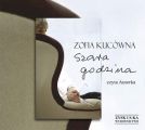 Szara godzina audiobook