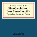 Eine Geschichte, dem Dunkel erzahlt