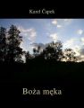 Boza meka