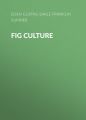 Fig Culture