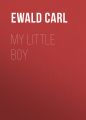 My Little Boy