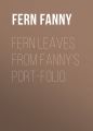 Fern Leaves from Fanny's Port-folio.