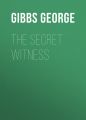 The Secret Witness
