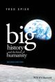 Big History and the Future of Humanity