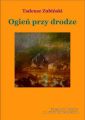 Ogien przy drodze