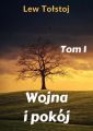 Wojna i pokoj. Tom 1