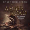 Amber Road