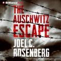 Auschwitz Escape