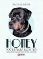 Honey,  