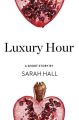 Luxury Hour: A Short Story from the collection, Reader, I Married Him