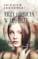 Trzy odbicia w lustrze DODRUK