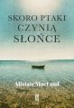 Skoro ptaki czynia slonce